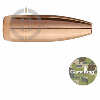 Sierra GameKing 1390 Geschoss